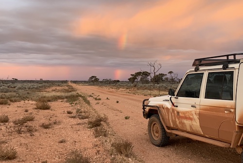 Central Desert Board and Management